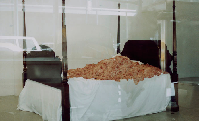 ham_bed