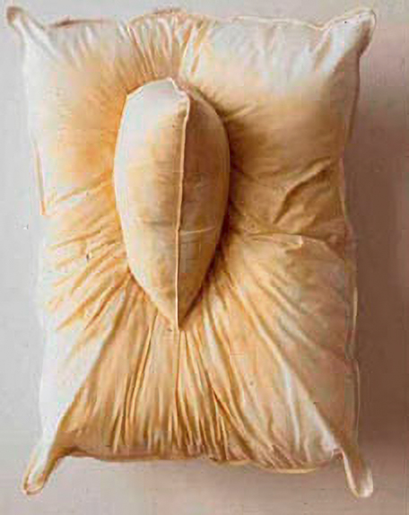 pillows_01-Enhanced