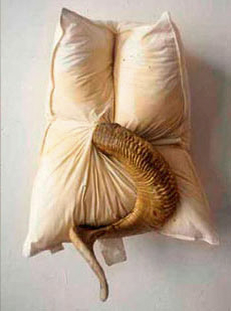 pillows_06-Enhanced